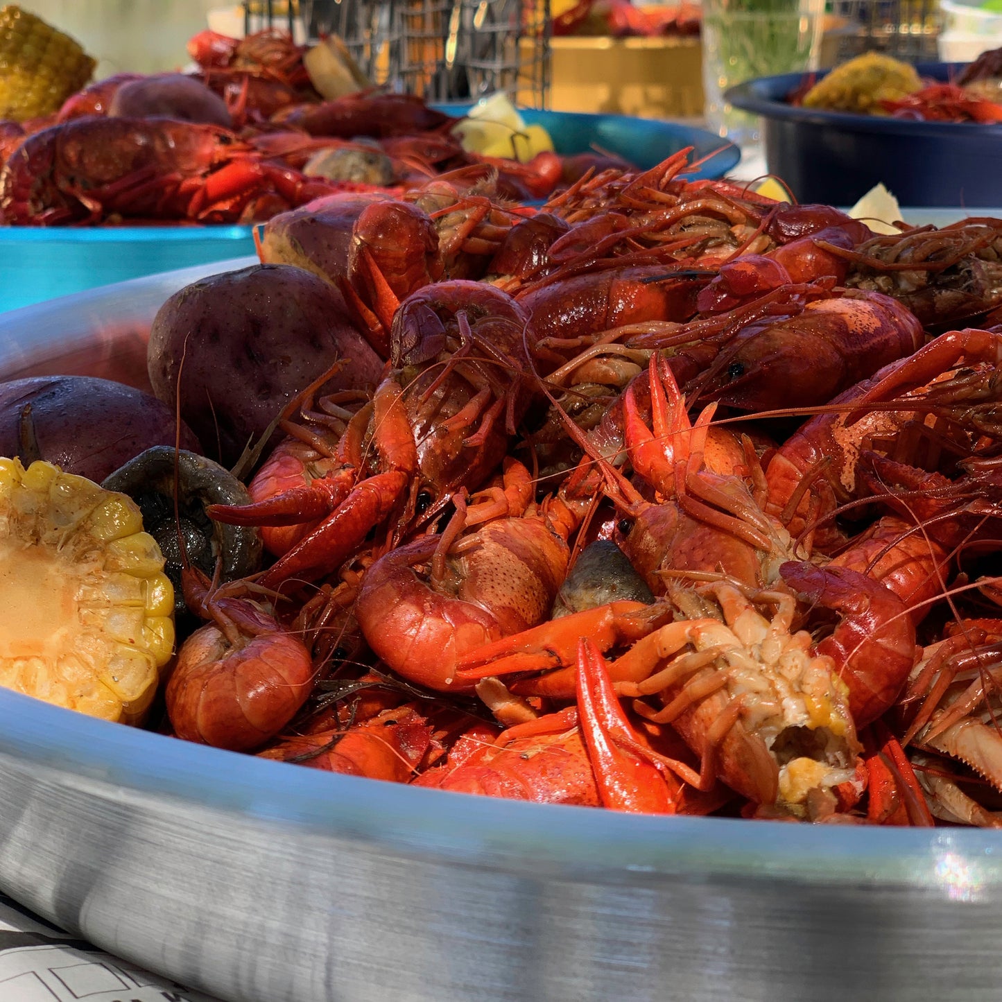 Seafood Serving Trays, 4-pc Set