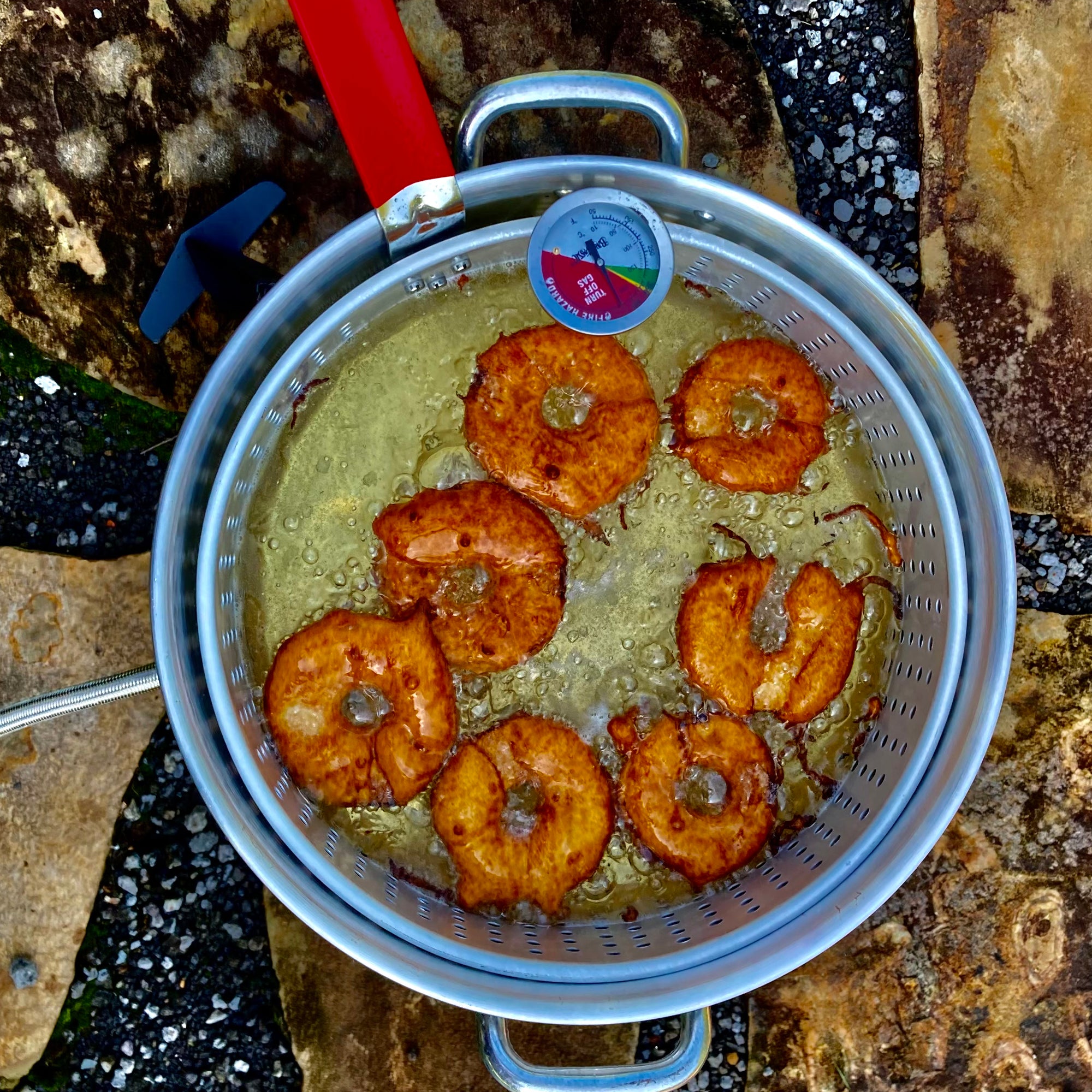 Aluminum Fish Cooker