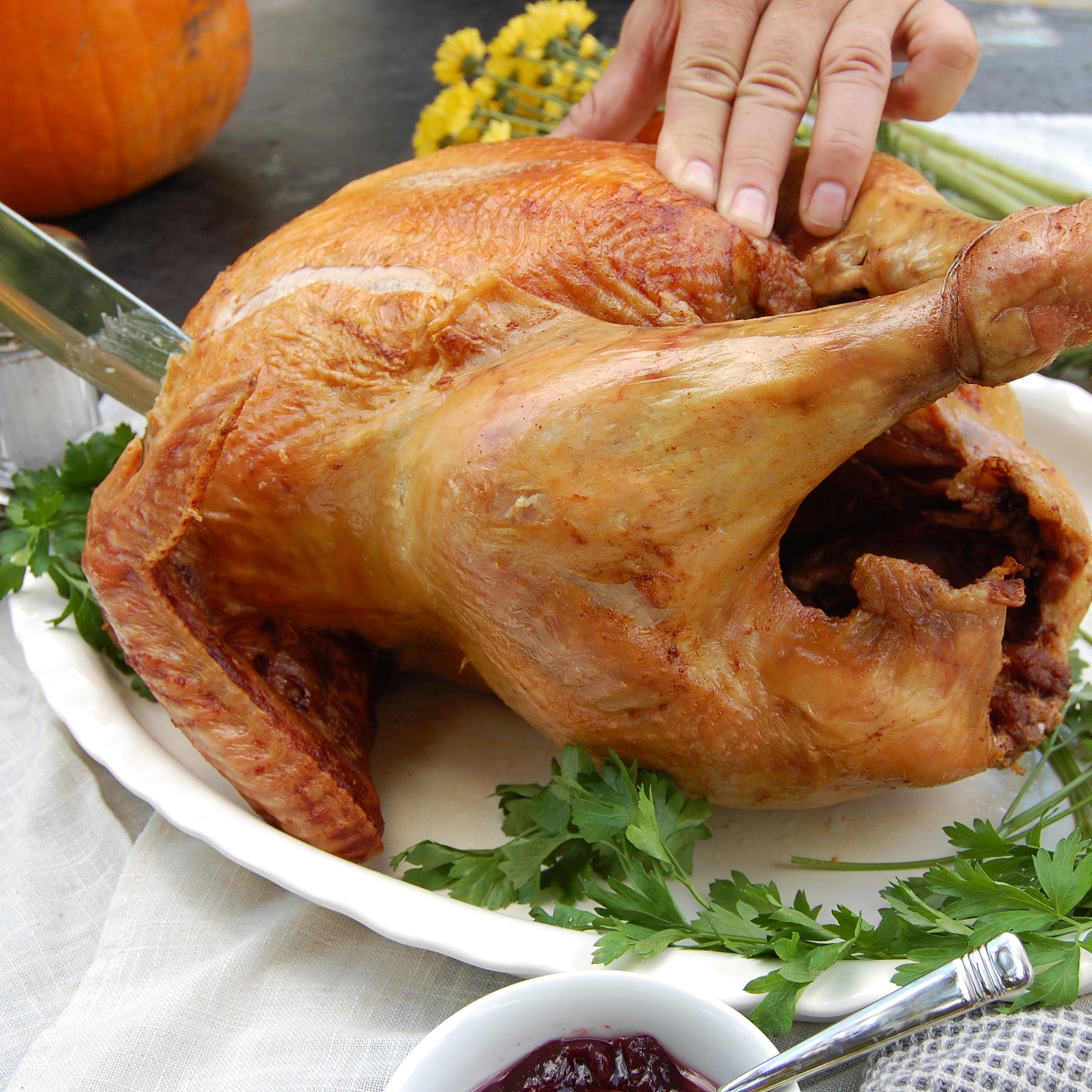 44-qt Stainless Turkey Fryer Kit