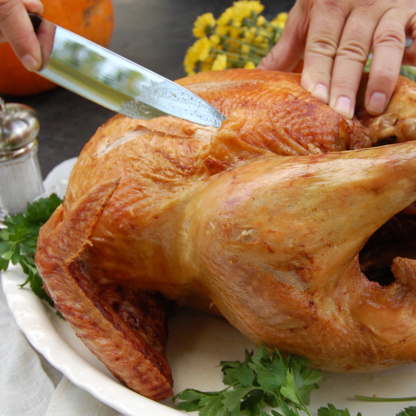 Carving Knife and Meat Fork Set