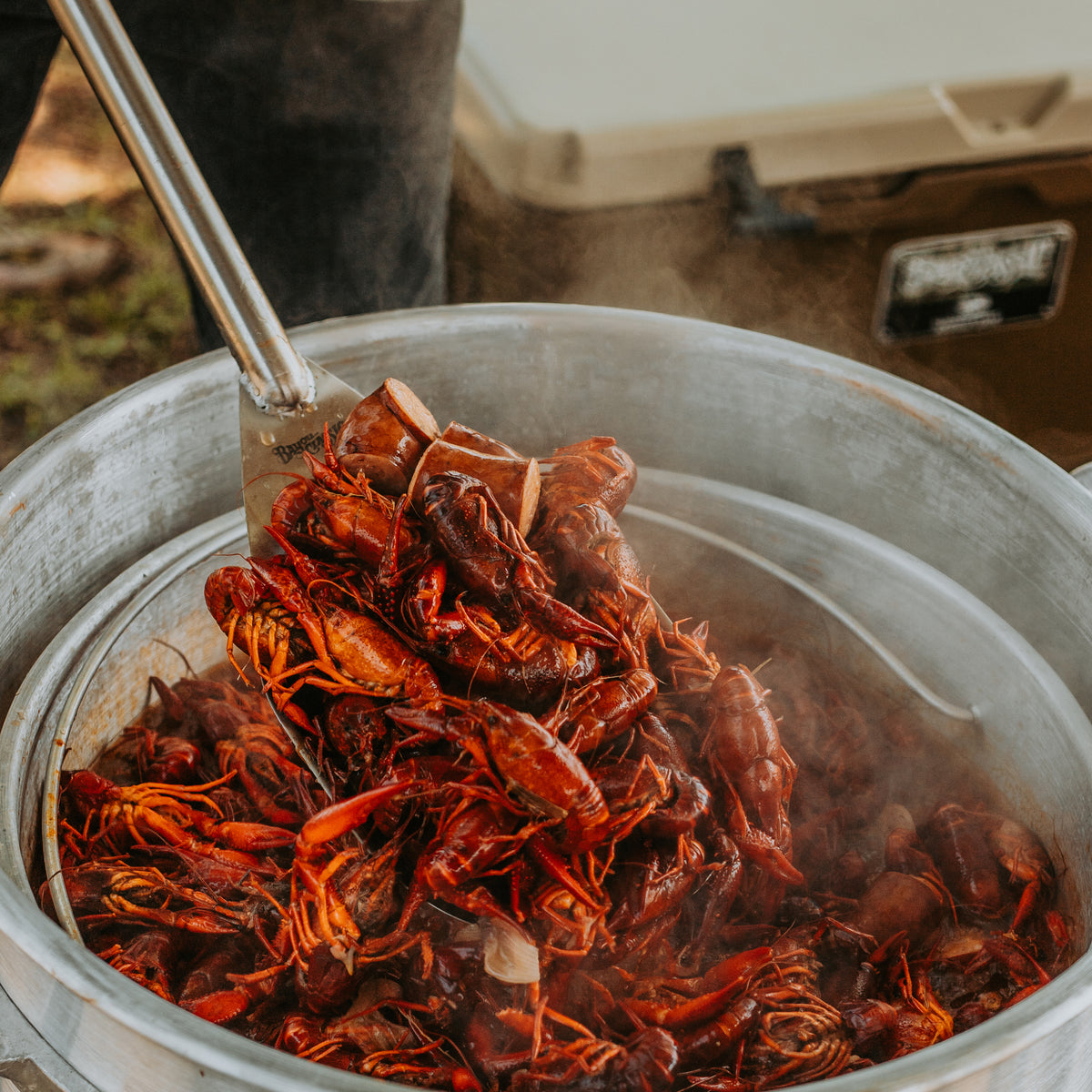 Aluminum stockpot filled with cooked crawfish being scooped by large bayou spoon