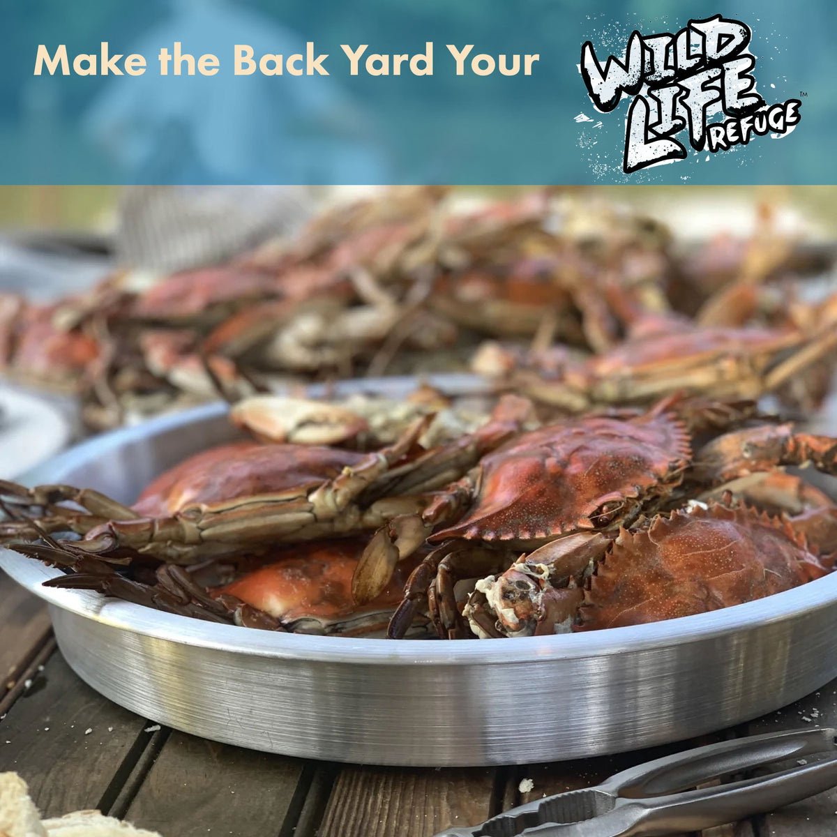 Aluminum Tray with crabs on a wooden surface, with text that reads Make the Back Yard Your Wild Life Refuge