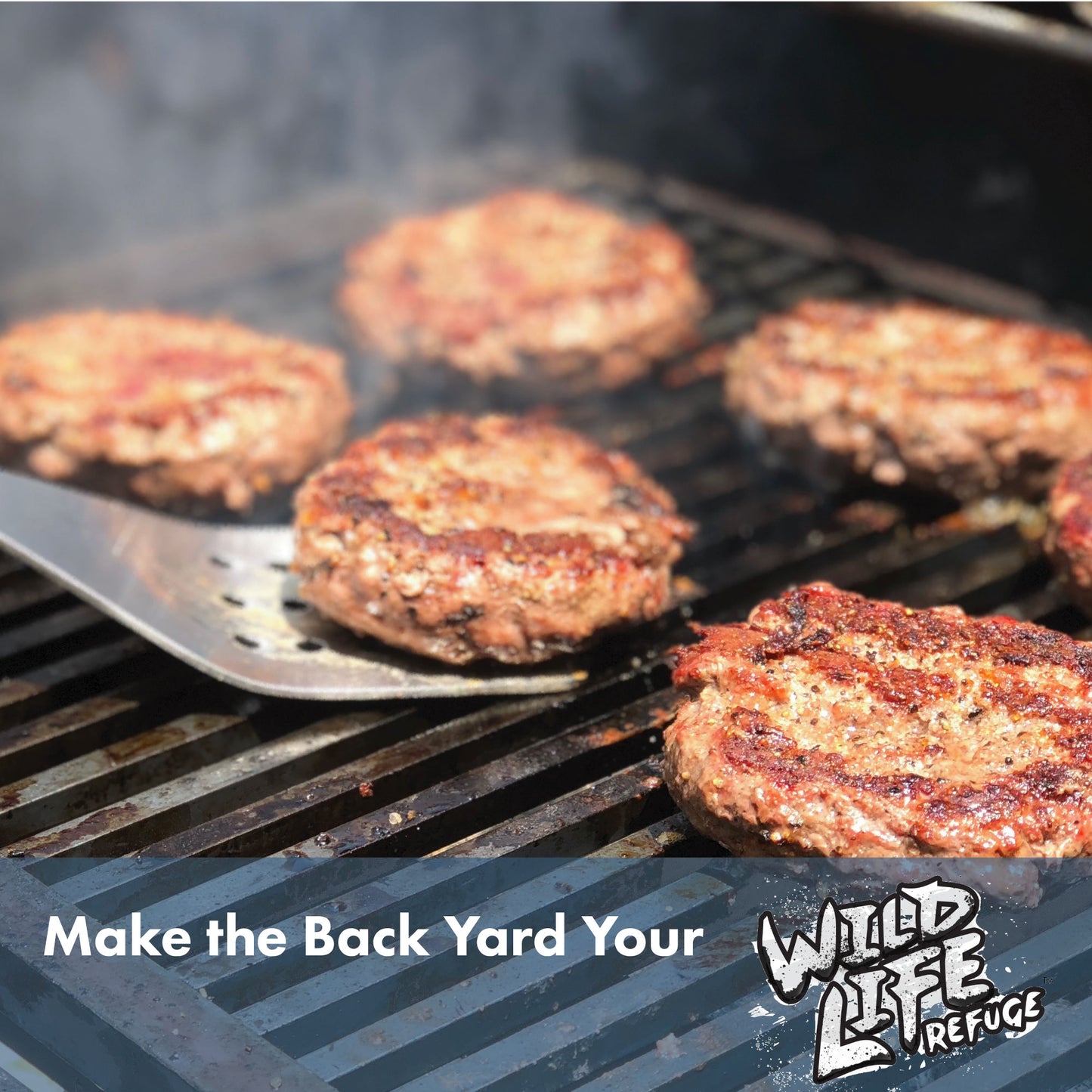 Hamburgers cooking on a grill with text that reads Make the Back Yard Your Wild Life Refuge