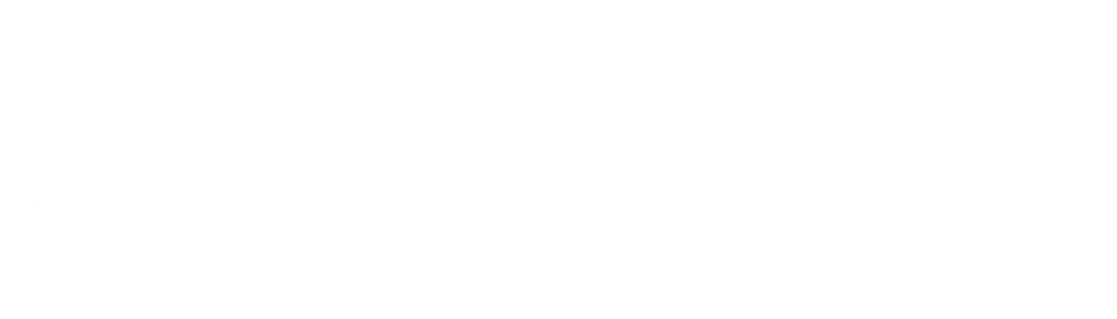 white bird flying