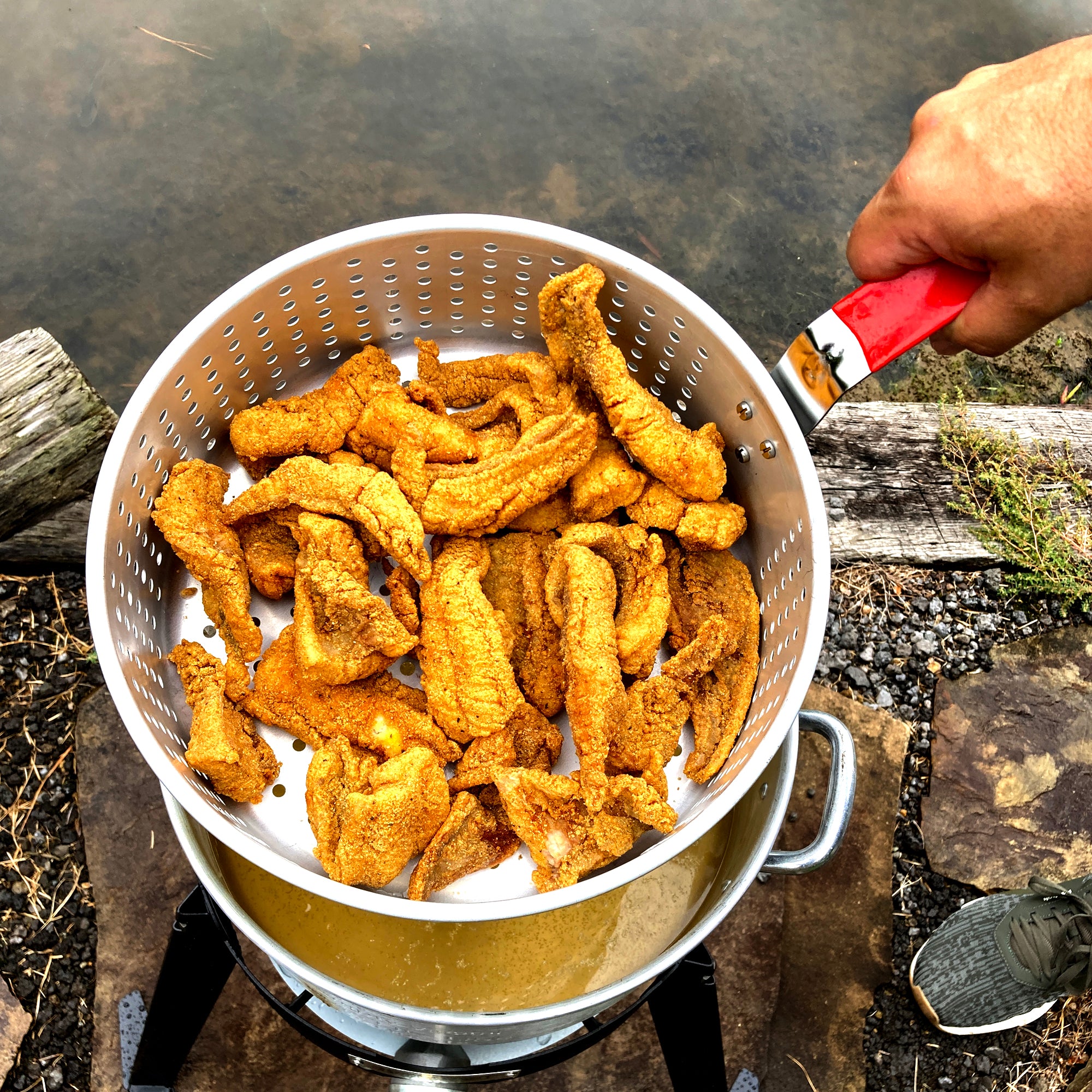 fish fry accessories Bayou Classic 2212 Aluminum Fish Cooker