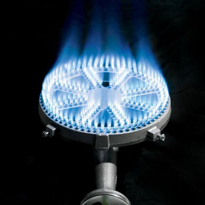 16-in Stainless Banjo Cooker