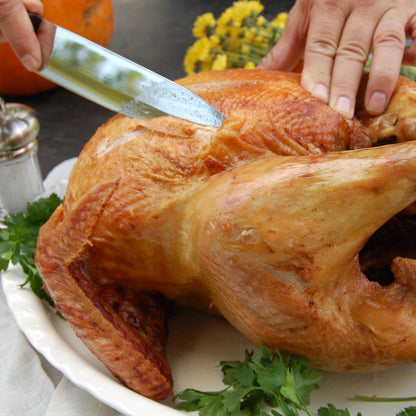 Carving Knife and Meat Fork Set